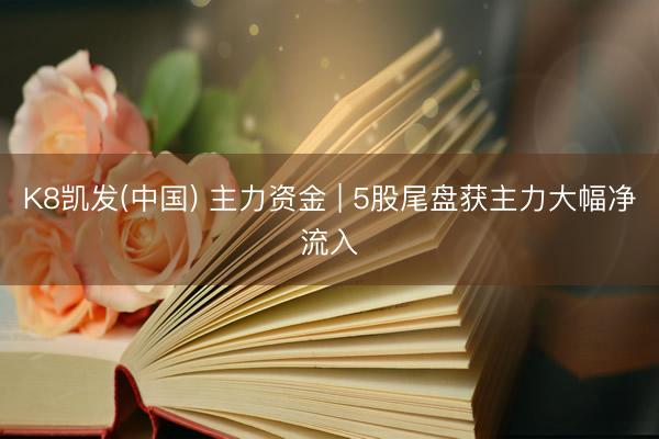 K8凯发(中国) 主力资金 | 5股尾盘获主力大幅净流入