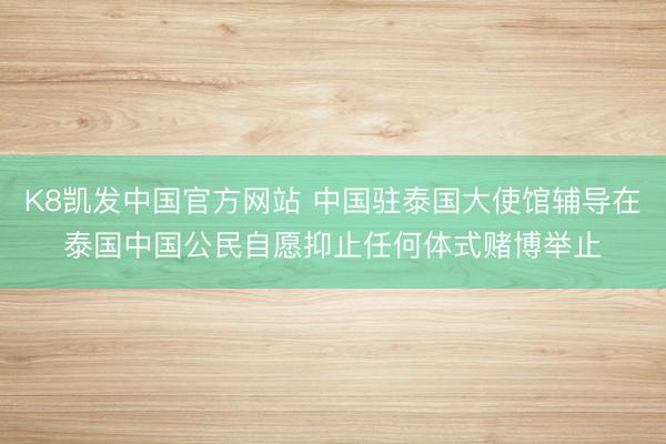 K8凯发中国官方网站 中国驻泰国大使馆辅导在泰国中国公民自愿抑止任何体式赌博举止
