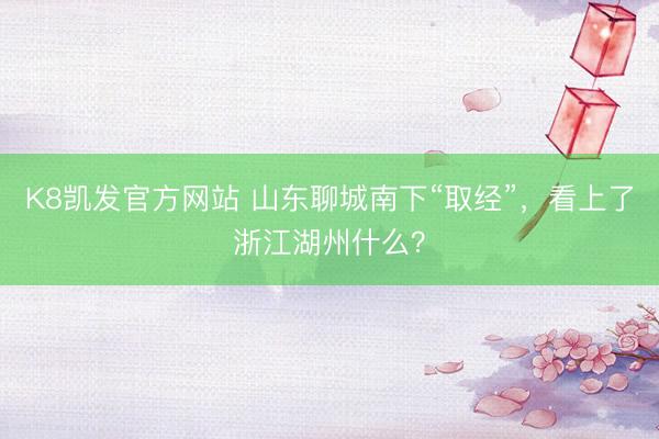 K8凯发官方网站 山东聊城南下“取经”，看上了浙江湖州什么？
