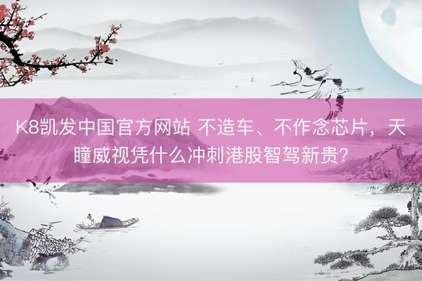 K8凯发中国官方网站 不造车、不作念芯片，天瞳威视凭什么冲刺港股智驾新贵？