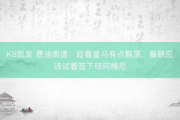 K8凯发 费迪南德:趁着皇马有点飘荡,曼联应该试着签下琼阿梅尼