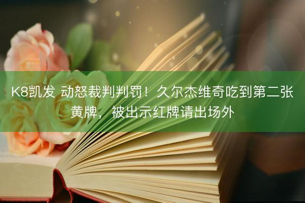 K8凯发 动怒裁判判罚！久尔杰维奇吃到第二张黄牌，被出示红牌请出场外