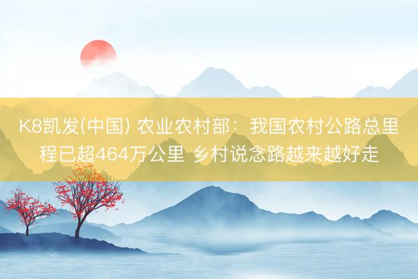 K8凯发(中国) 农业农村部：我国农村公路总里程已超464万公里 乡村说念路越来越好走