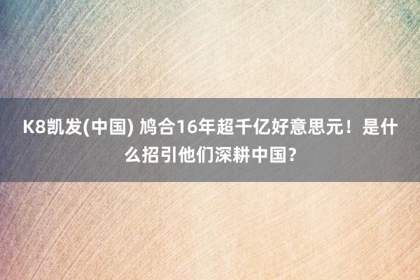 K8凯发(中国) 鸠合16年超千亿好意思元!是什么招引他们深耕中国?